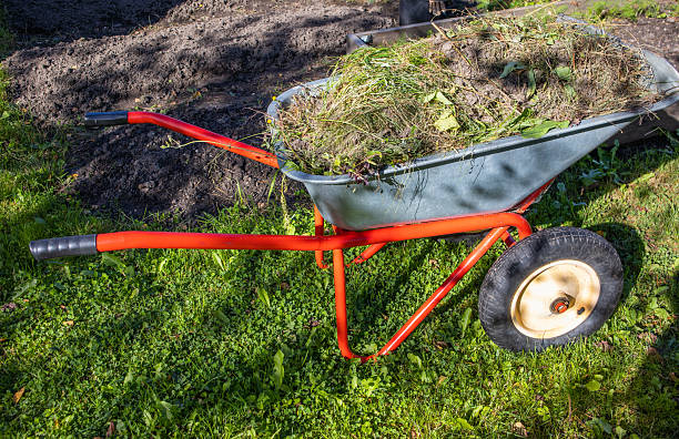 istock Wheelbarrow with garden waste on lawn after bed cleanup horizontal view 2245101480