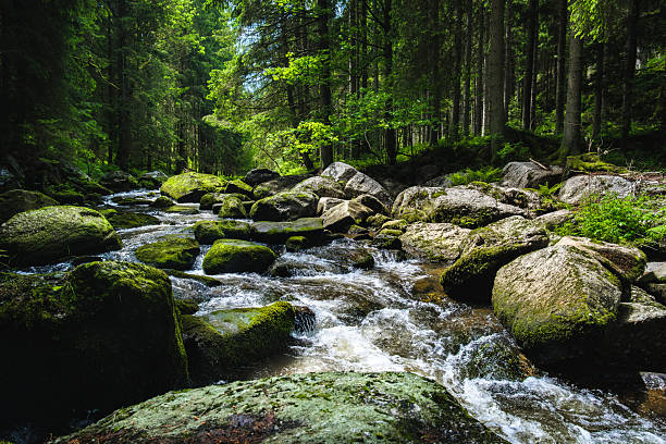 istock River Kamp in Waldviertel region, Lower Austria 2245107092