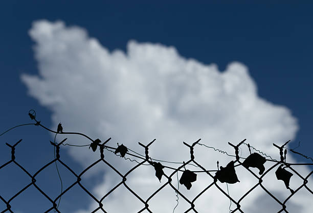 A concept of hope, freedom, or confinement. A dark fence silhouette against a bright blue sky.
