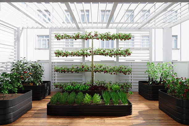 istock Sustainable Urban Farming on a Modern Balcony 2245109500
