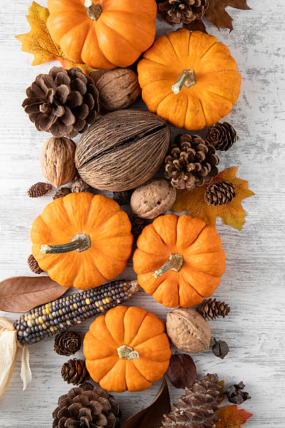 Above view of colorful pumpkins with gift boxes on white wooden backgrounds