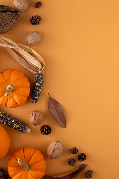 istock Thanksgiving Holiday Background with Pumpkins 2245112031