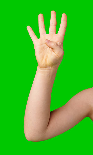 istock A hand showing the number four against a bright green background 2245113524