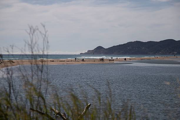 istock Coastal lagoon with driftwood 2245114890