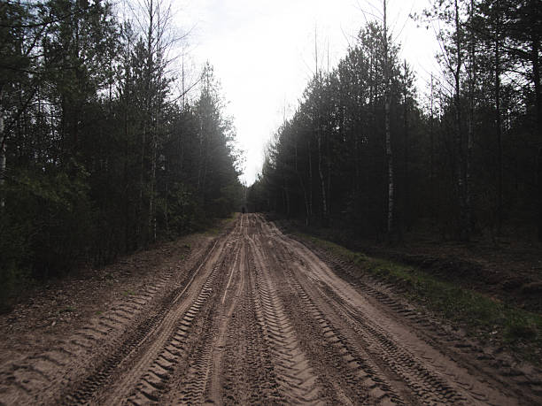 rainforest hike adventure, exploring wet woodland trails extensively, brave expedition across muddy forest footpaths, embarking on adventurous journey through soaked rainforest trails