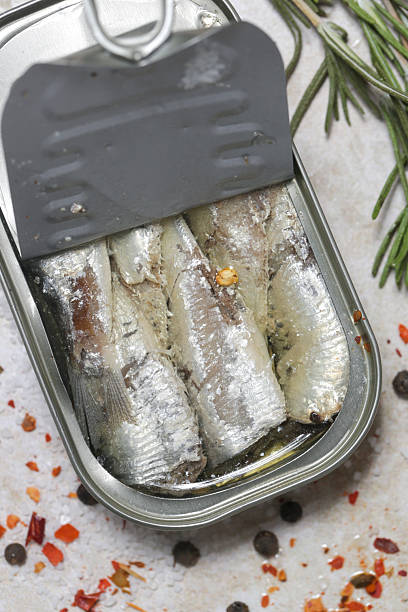 istock Overhead view of open sardine tin, great source of daily protein intake 2245122190