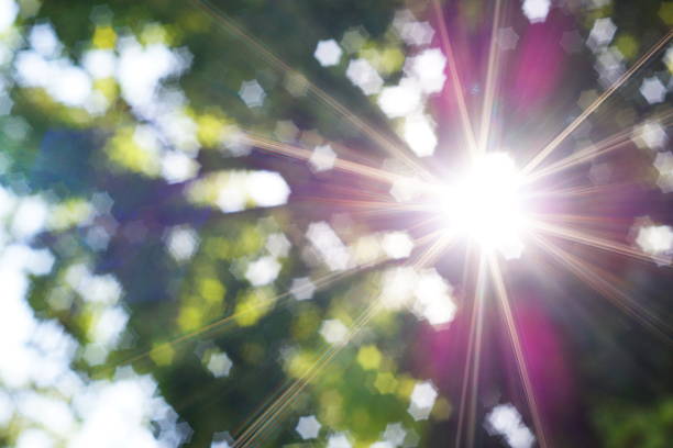 istock Sun's rays breaking through crowns of trees, while creating purple, blue highlights, bokeh effect in shape of six-pointed star of camera diaphragm. Natural environments 2245122718