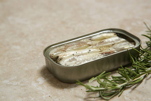 istock Overhead view of open sardine tin, great source of daily protein intake 2245122721