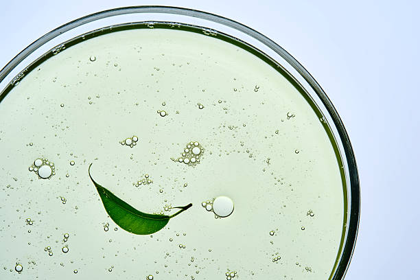 istock Cosmetic gel in a petri dish with a leaf. 2245126921