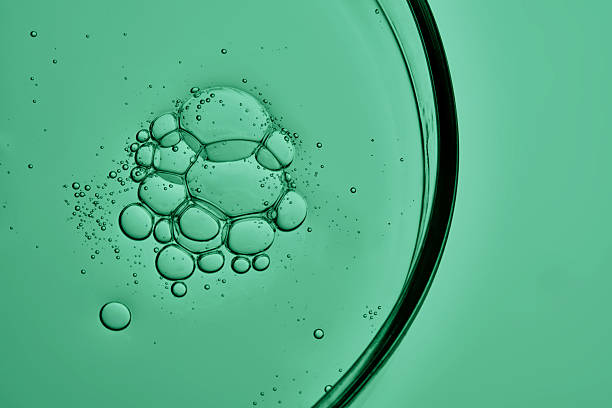 istock Dish detergent in a petri dish on a green background. 2245127314