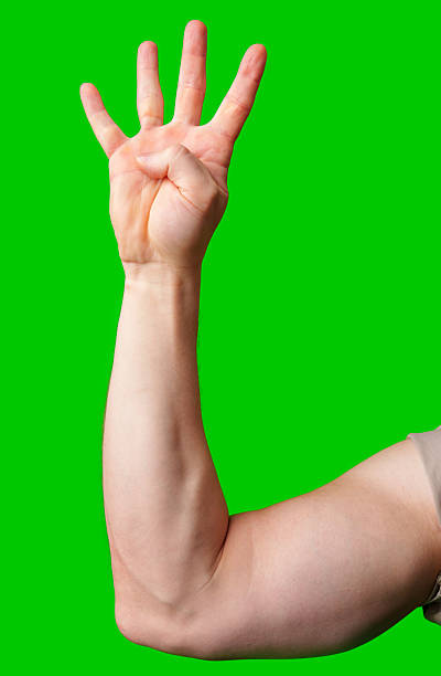istock A hand showing the number four against a vibrant green background 2245127903