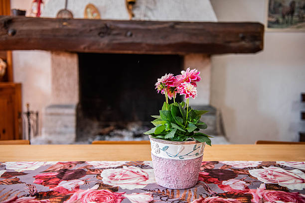 Flower in a traditional Italian house