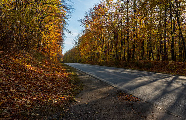 istock Autumn landscape, road to autumn 2245133744
