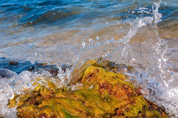 Amazing view of waterfront in Nugal beach in Makarska Riviera, between towns of Makarska and Tucepi. Dalmatia region of Croatia. Beautiful waves on a sunny summer day. Copy space. Selective focus