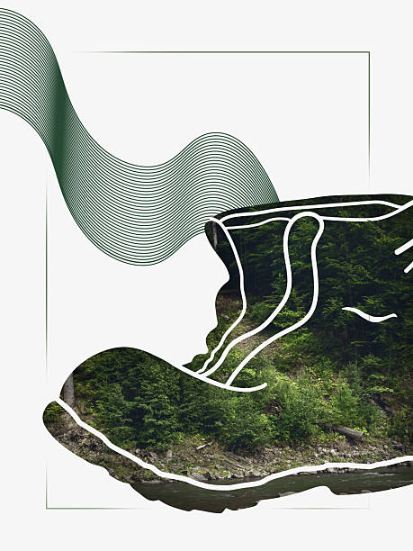 istock Creative digital artwork. Hiking boot filled with forest landscape representing human footprint 2245139004