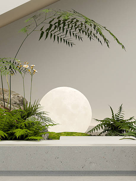 istock Vertical zen garden with glowing moon lamp and ferns 3D render 2245141132