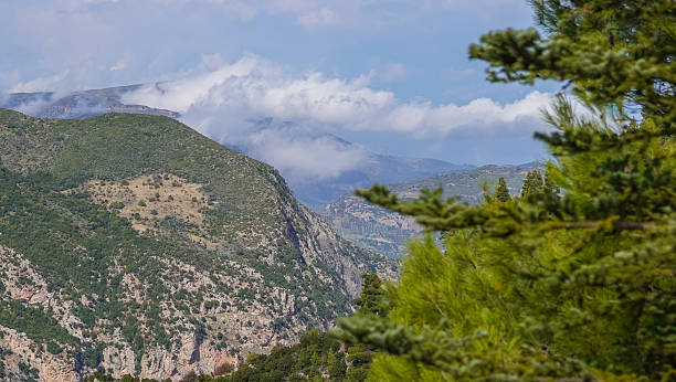 istock green trees on the slopes of the mountains 2245142201