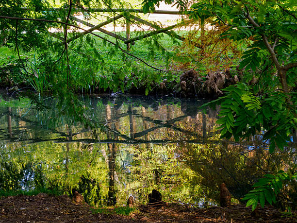 Autumn at Parco Sempione, Milan