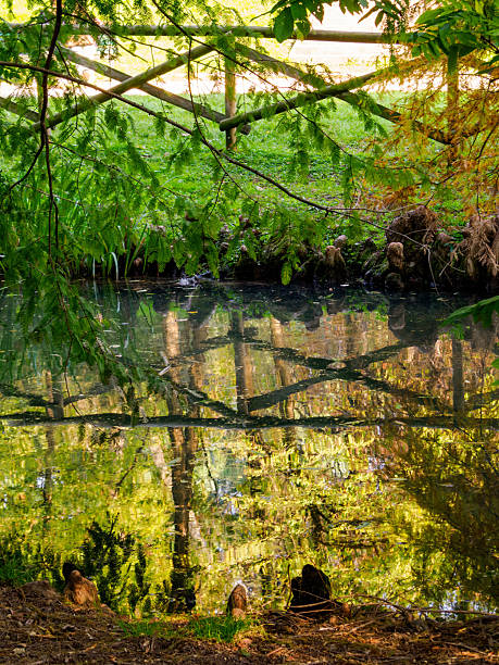 istock Autumn at Parco Sempione, Milan 2245150070