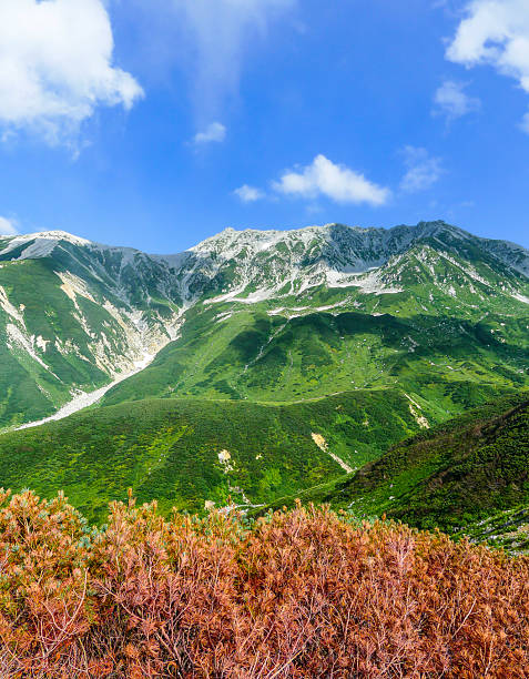 Mt. Tateyama, one of the 100 Famous Japanese Mountains.