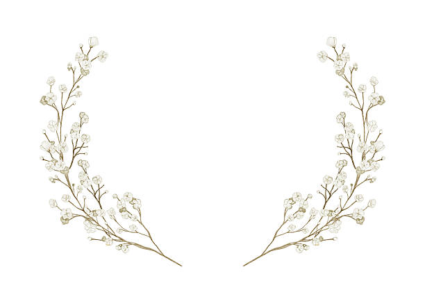 istock Watercolor floral frame with white gypsophila branches. Elegant hand drawn botanical frame on soft neutral tones. Perfect for baby shower invitations, wedding stationery, home decor, greeting cards. 2245150942