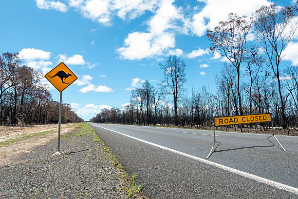 Mid-adult man taking selfies in front of the  kangaroo warning sign on the country road in Australia.