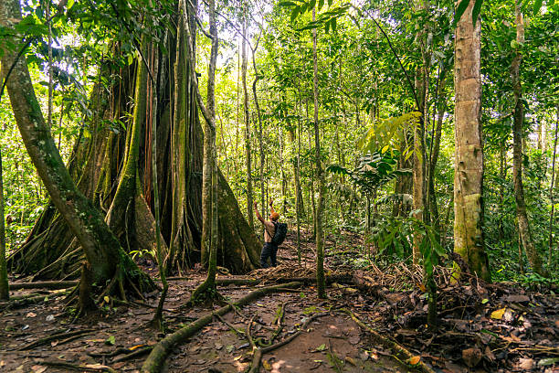 istock Man worshiping a giant tree and rainforest 2245151140