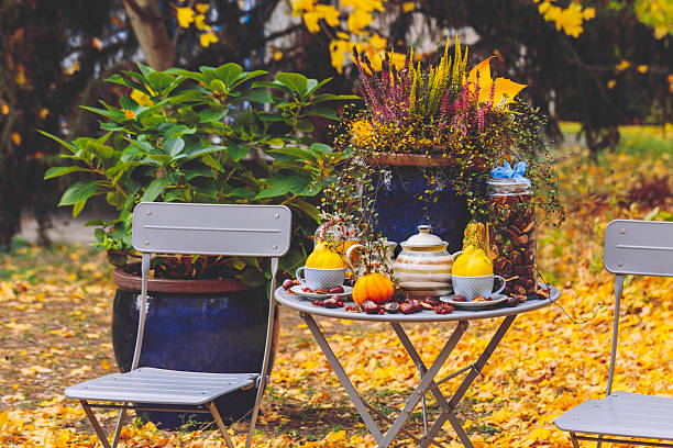 Flower arrangement in the garden