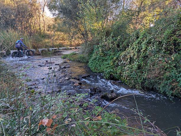 istock Cyclist navigating a rocky stream on a sunny day in a lush forested area 2245162622