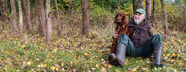 istock Golden Companionship in Autumn Silence. 2245164048