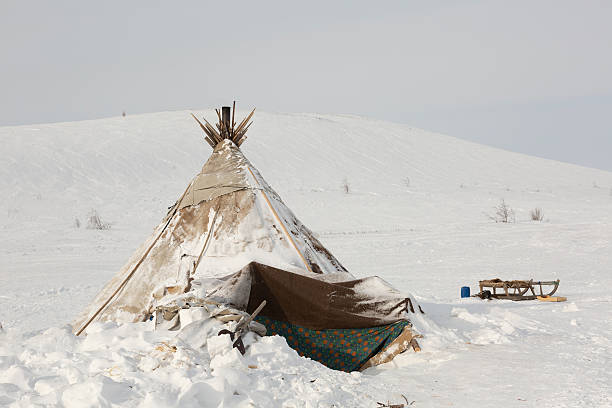 istock Nenets reindeer herders choom on a winter. Yamal. Russia 2245168596