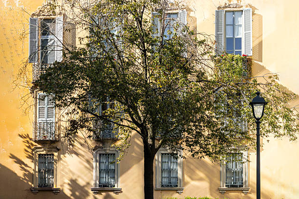 Warm sunlight illuminating a traditional Italian building facade in Milan, with open shutters, wrought-iron balconies, and a leafy tree casting soft shadows. A peaceful urban scene reflecting the charm and elegance of Milanese architecture.