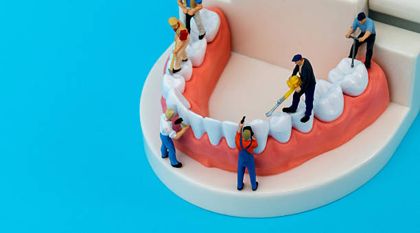 istock Miniature people cleaning teeth model on blue background 2245172978