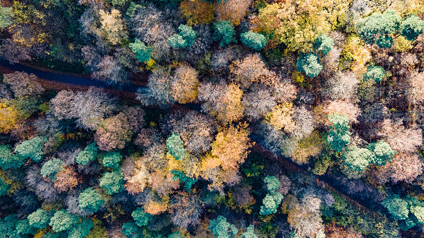istock A view of autumn 2245173953