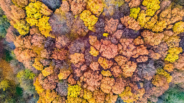 istock A view of autumn 2245174086