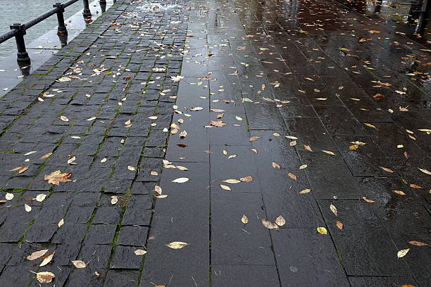 Leaves, like pieces of amber and polished gold, scattered chaotically across the black, wet surface. Yellow leaves stuck to the pavement are the last vivid memory of the departed warmth.