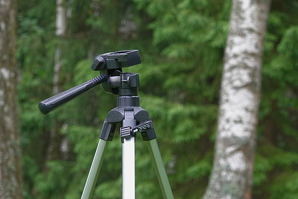 Against the background of a dense, dark forest, like a finely chiseled alien alien, the photographer’s tripod froze. Its black, functional lines contrast sharply with the natural randomness of trees and foliage.