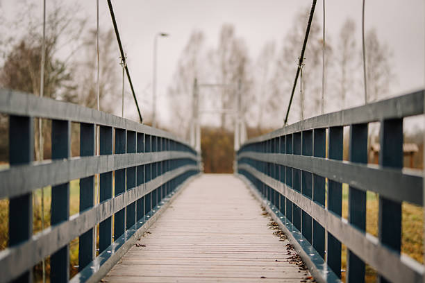 istock Wooden pedestrian bridge with blue railings stretches into the distance, surrounded by trees and a soft, overcast sky, creating a serene and inviting atmosphere for exploration 2245176830