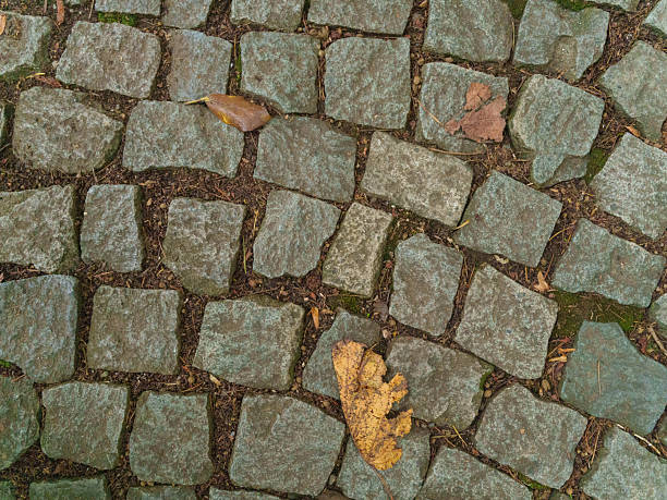 Grid Layout of Outdoor Flooring Materials in Neutral Tones. High quality photo