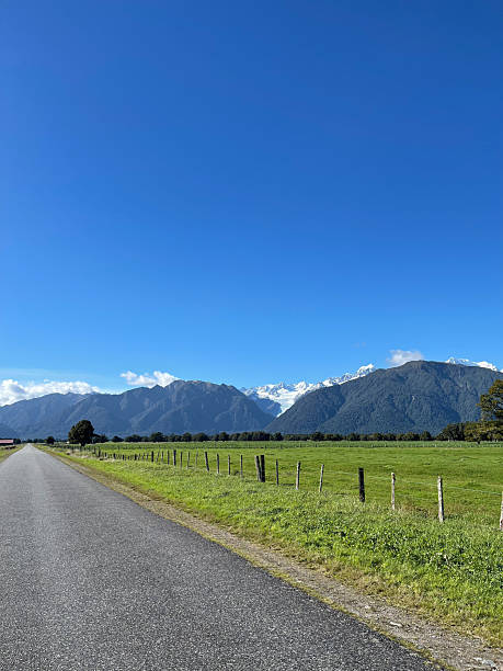 istock Fox Glacier in New Zealand 2245181391