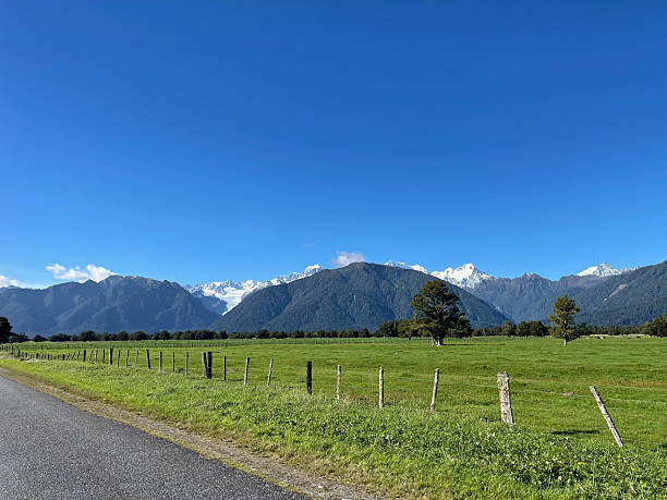istock Fox Glacier in New Zealand 2245181395