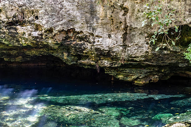 istock Cenote Cave Entrance in Solidaridad, Mexico 2245183257