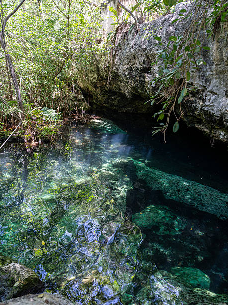 istock Crystal-Clear Cenote Hidden in a Tropical Jungle Setting 2245184015