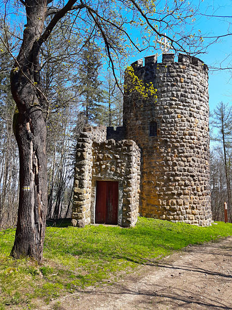 istock Discover historic stone tower in lush green forest, Bardo, Poland 2245184581