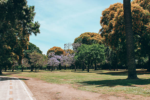 Bosques de Palermo in Buenos Aires, Argentina, featuring lush green trees and walking paths in a spacious urban park setting.