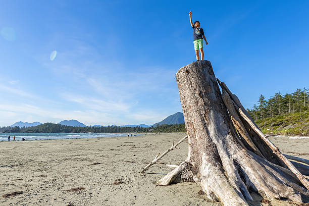 istock Boy climbed the stump in the sandy beach, summer vacations. 2245188120