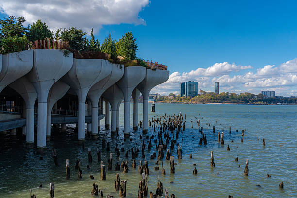 istock Pier 55's Concrete Lilies Bloom 2245188313