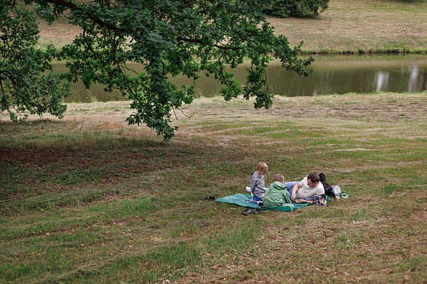 The evening sun shines on the green vegetation of trees by the lake in the park, and the grass is covered with raindrops