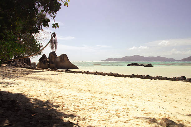 Curved palm tree over turquoise lagoon with granite rocks and tropical vegetation under the sun, captured on a hidden beach in La Digue, Seychelles.