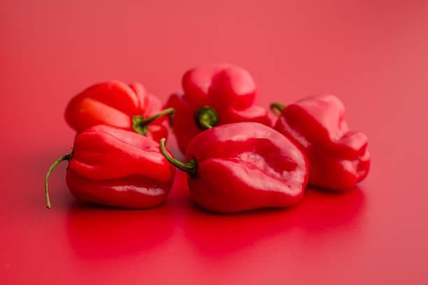 Red chili pepper habanero on a red background.
